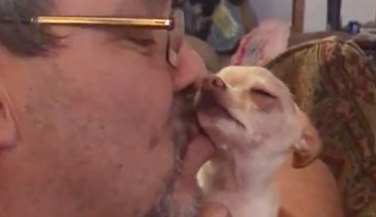 VIDEO Ovaj psić obožava pusice više od ičega na svijetu