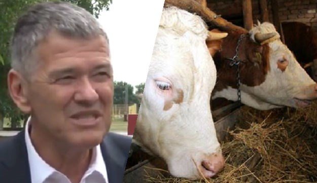 Srpski kralj mesa koji u Slavoniji otpušta 60 posto radnika: Nisam socijalno neodgovoran