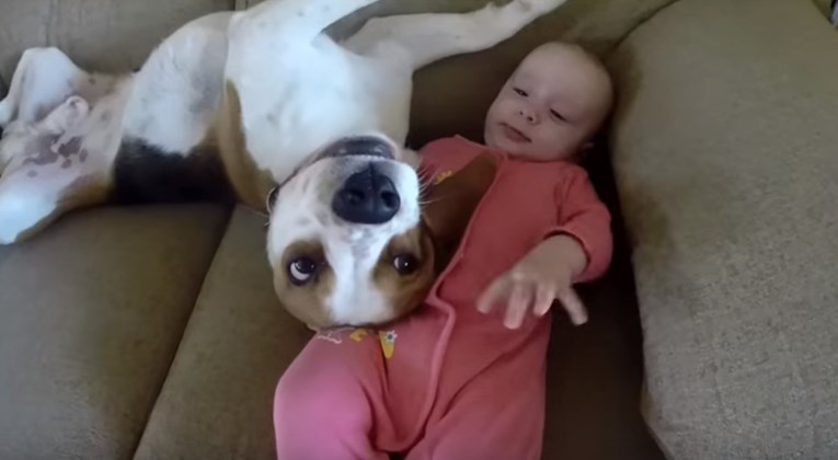 Ova beba ima najboljeg prijatelja psića koji je voli najviše na svijetu