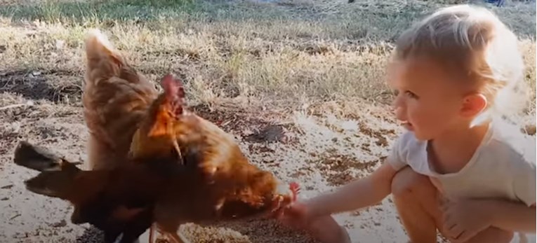 VIDEO Dvije preslatke djevojčice brinu se o životinjama koje nikada nisu imale pravi dom