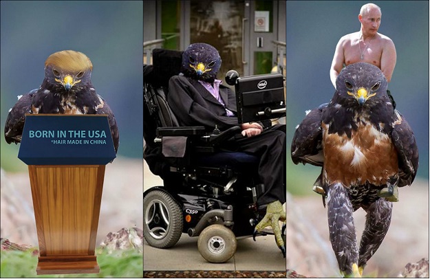 FOTO Hawking, Trump i Putin, sve je to opaki sokol koji je osvojio internet