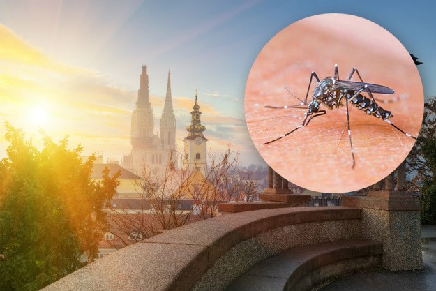 Najezda komaraca u Zagrebu, tek od ponedjeljka kreće zaprašivanje: Evo gdje i kada