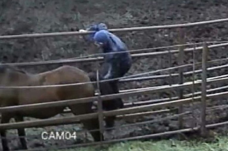 Kamera uhvatila tipa u seksu s konjem, snimku je vidjela i njegova cura