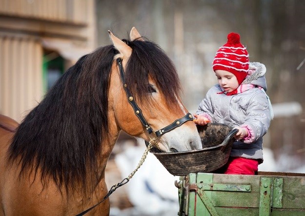 Novi internetski hit: Pogledajte kako konj dadilja malu bebu
