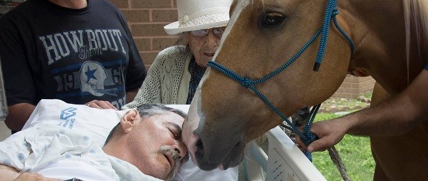 Posljednji pozdrav: Konji se došli oprostiti od prijatelja koji umire