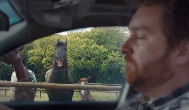 VIDEO Konji koji se smiju lošem vozaču uljepšat će vam dan