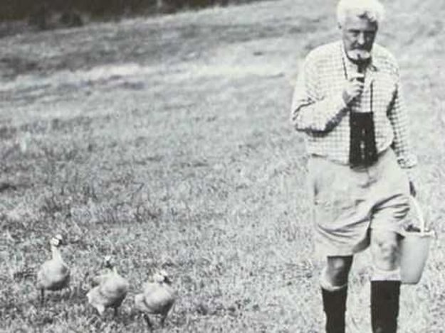 Nobelovcu oduzeli počasni doktorat zbog nacističke prošlosti