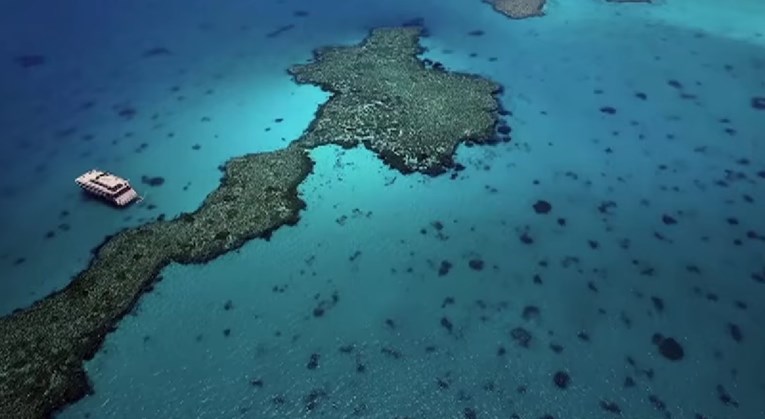 VIDEO Australija obećala 312 milijuna eura za spas Velikog koraljnog grebena