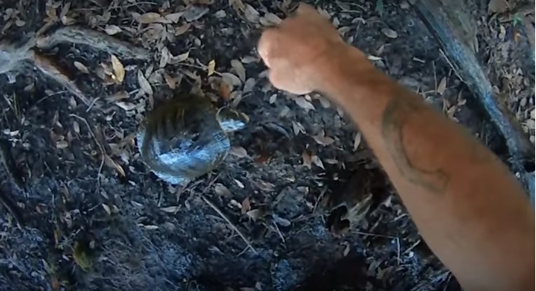 VIDEO Kujica je spasila kornjaču kojoj se žica omotala oko vrata