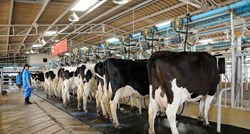 Isplaćena interventna potpora mljekarima: 5400 mljekara dobilo 24,7 milijuna kuna