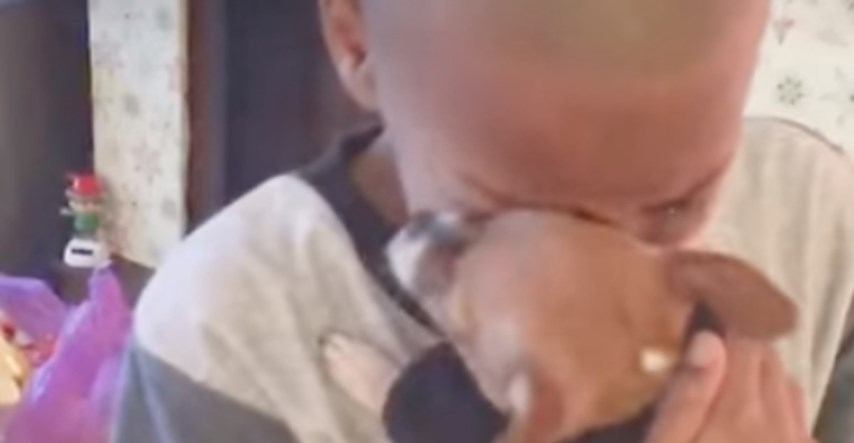 VIDEO Majka je odlučila udomiti psa, a reakcija njezina sina raznježila je cijeli svijet