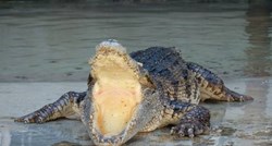 U Indoneziji predložen zatvor u kojem će ulogu čuvara preuzeti "nepodmitljivi krokodili"