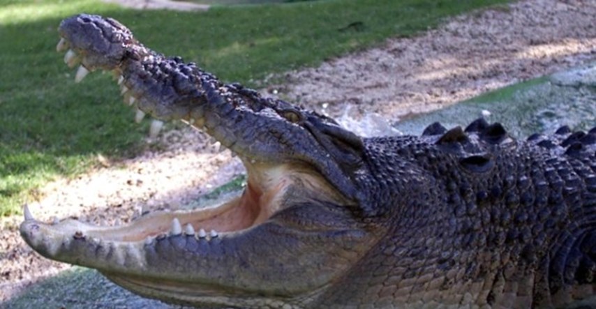Osvetio se krokodilu četiri mjeseca nakon što mu je pojeo trudnu suprugu