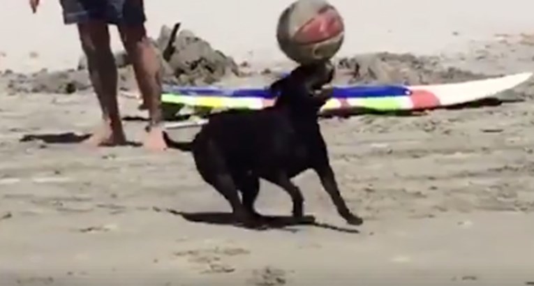 VIDEO Ovaj je pas zadivio sve ljude s plaže svojim nevjerojatnim talentom