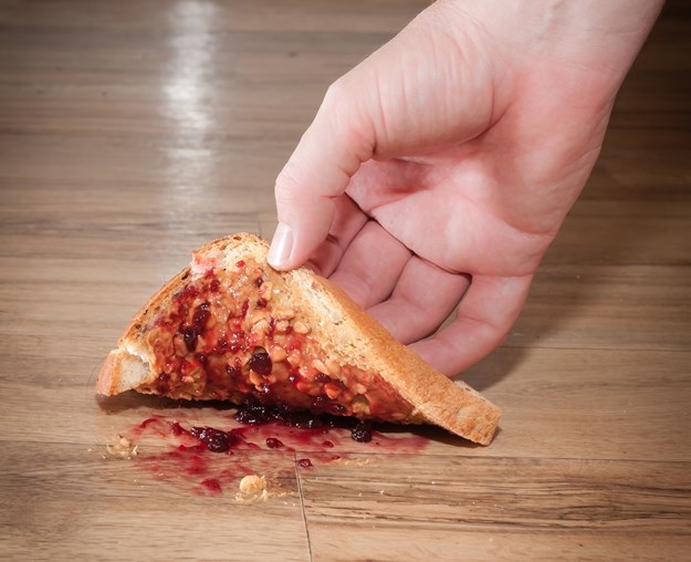 Pravilo pet sekundi za hranu na podu ne vrijedi, evo i zašto