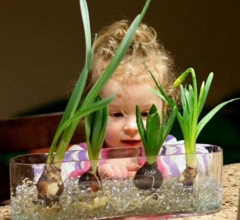 Sobno bilje koje bi moglo biti opasno za malu djecu
