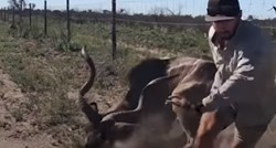 VIDEO Čovjek je riskirao život da spasi divlju životinju u nevolji