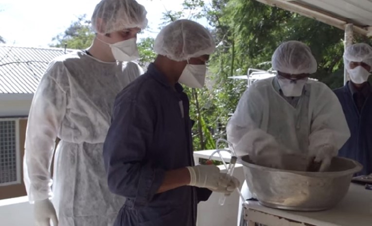 VIDEO Zbog kuge na Madagaskaru izdana upozorenja za 10 država, broj mrtvih raste