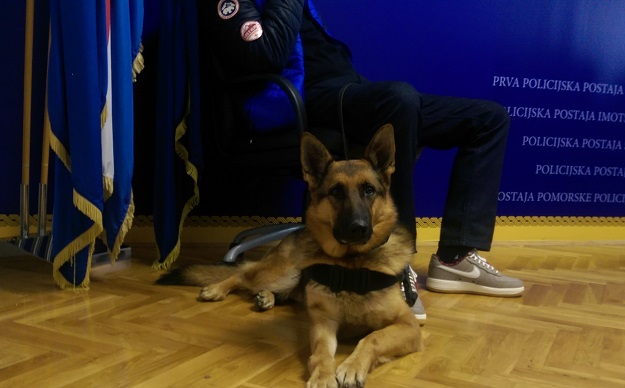 FOTO Policijska kuja Blondi u osam mjeseci otkrila 34 kila marihuane te kilu i pol heroina