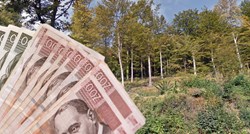 Državne tvrtke gube naš novac, a dijele uskrsnice. Hrvatske šume daju 1550 kuna