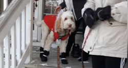 SUOSJEĆAMO S NJOM Zbunjeni pas pokušava hodati u cipelama za snijeg