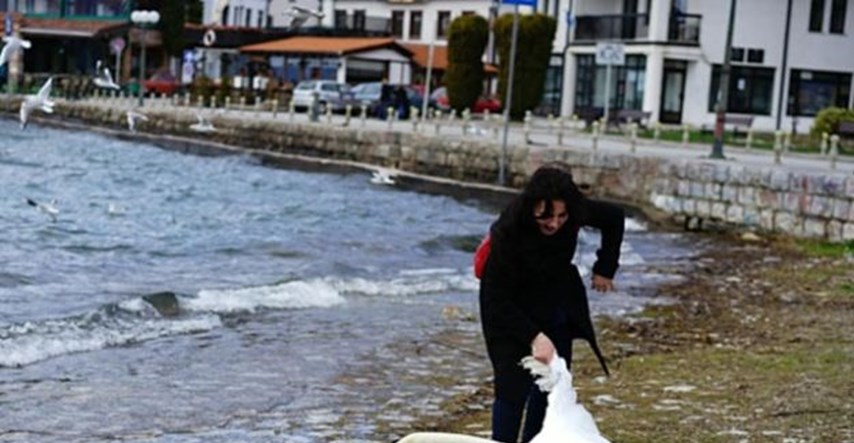 FOTO Svijet je u šoku: Bugarska turistica na Ohridu ubila labuda zbog selfija