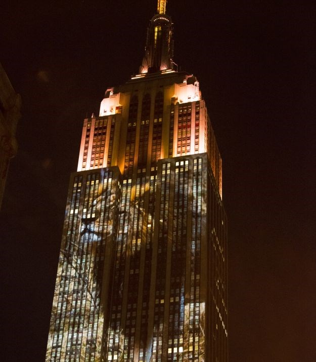 Lav Cecil i ostale ugrožene životinje dobile predivnu posvetu na Empire State Buildingu