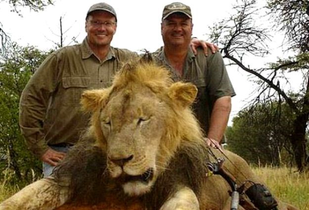 Bahati ubojica lava Cecila neće krivično odgovarati