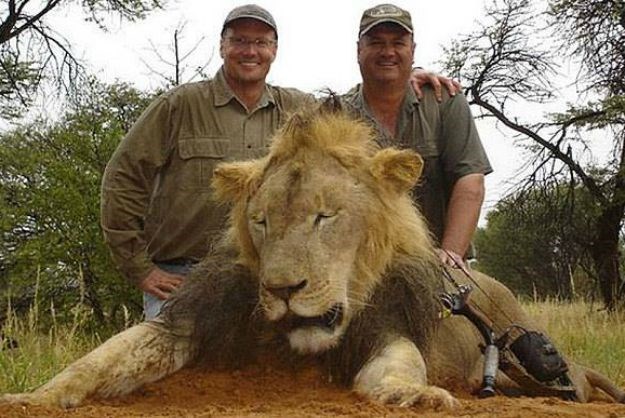 Identificiran sadist koji je ubio legendarnog lava Cecila: "Još jedan odvratni sebični lovaš"