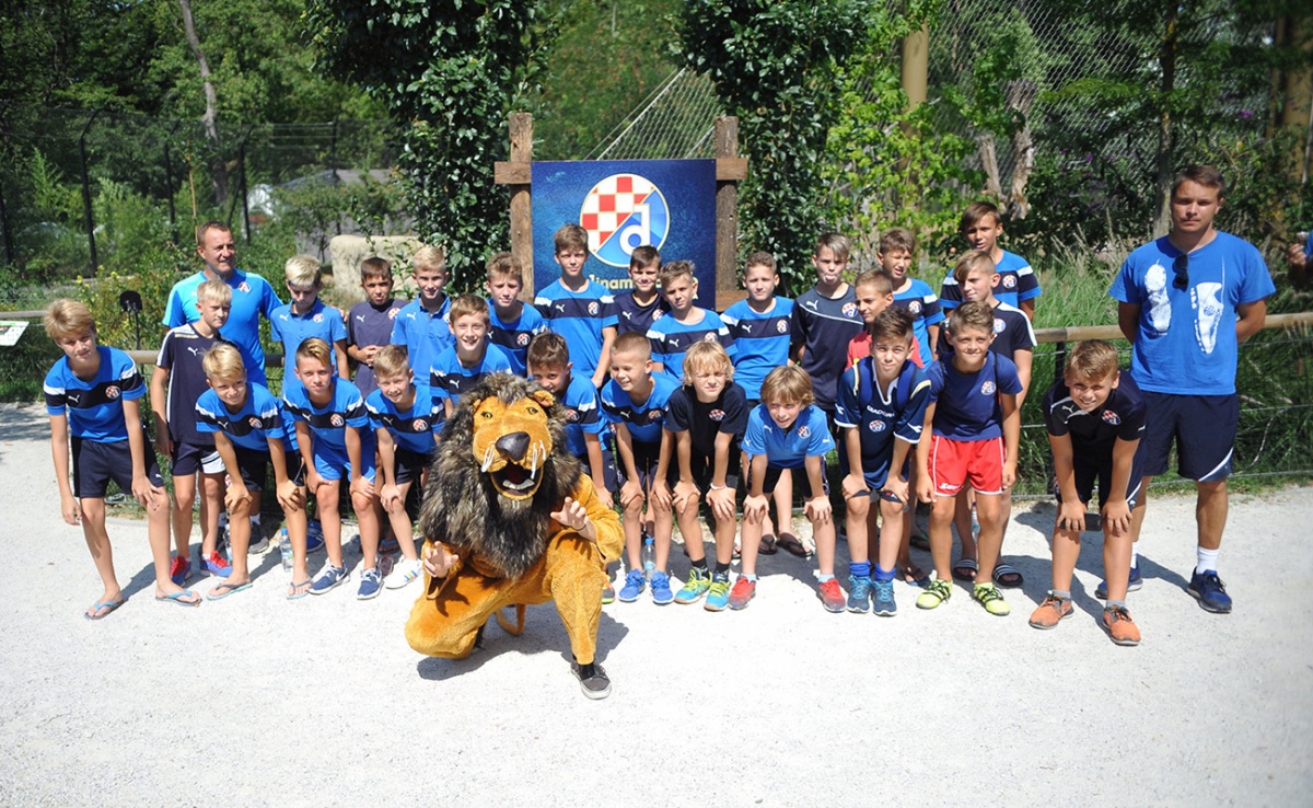 DINAMO MEĐU LAVOVIMA "Želimo odgojiti novu generaciju Dinamovih navijača"