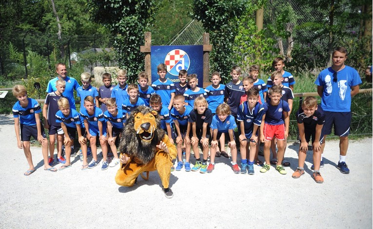 DINAMO MEĐU LAVOVIMA "Želimo odgojiti novu generaciju Dinamovih navijača"