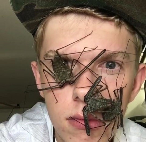 FOTO/VIDEO Ako ne volite kukce, bolje da ne gledate što ovaj tip radi s njima