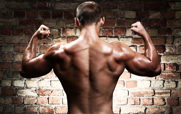 5 osnovnih vježbi za velika leđa