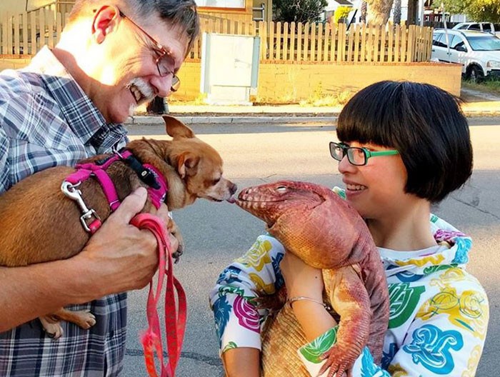 FOTO Gušter veličine psa oduševljava Instagram svojim fotkama