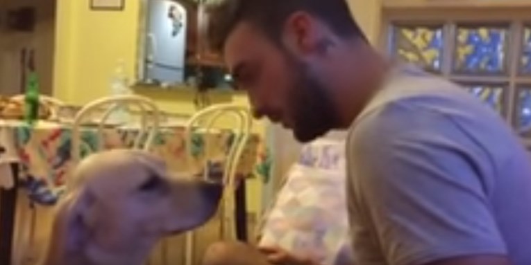 VIDEO Pas je napravio glupost pa se "ispričao" vlasniku na najslađi način