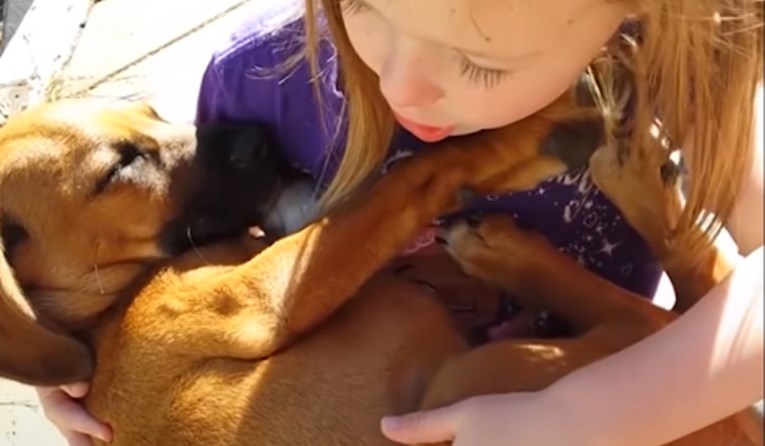 VIDEO Djevojčica pripremila najslađu dobrodošlicu svom novom ljubimcu