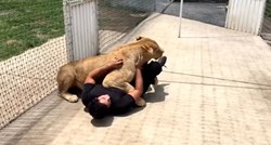 Reakcija lava na susret s čovjekom koji ga je spasio ostavit će vas bez teksta