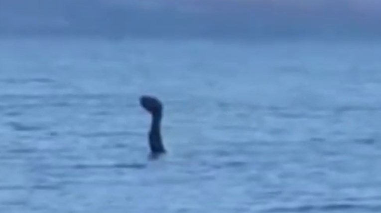 VIDEO Nessie na praznicima: Čudovište iz Loch Nessa snimljeno u Albaniji?