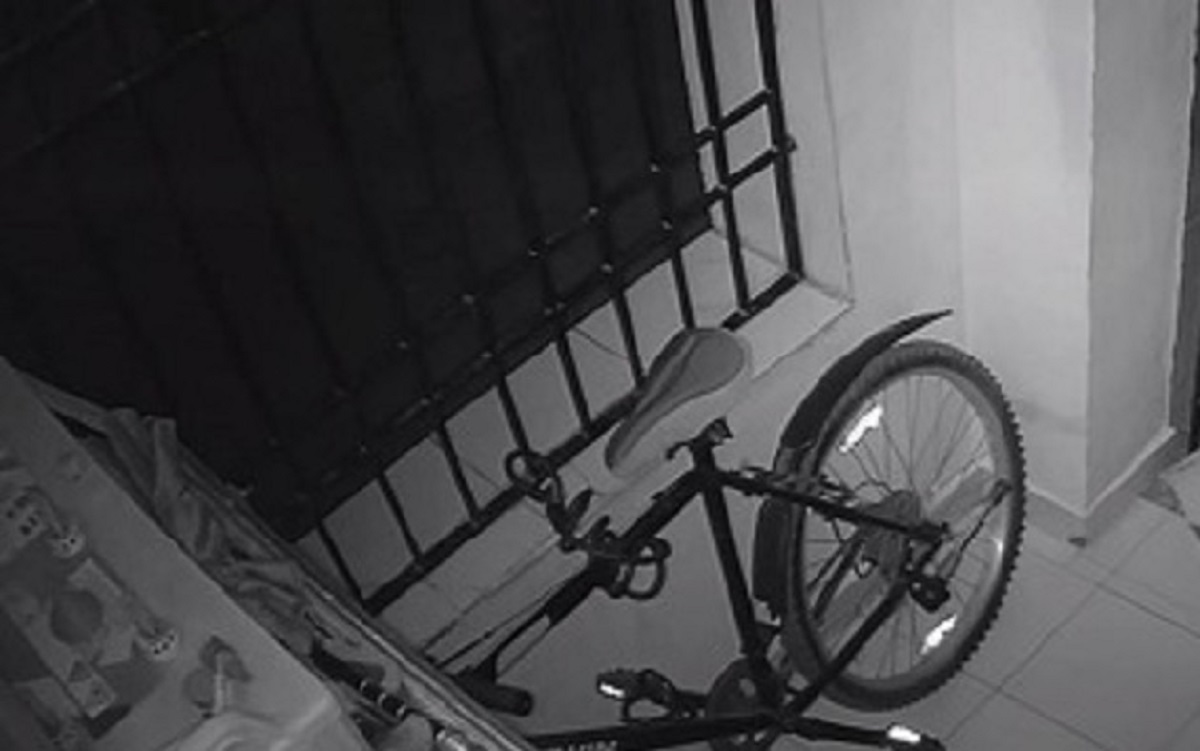 Postavio kameru jer mu je netko krao stvari ispred ulaza, iznenadio se kad je vidio lopova
