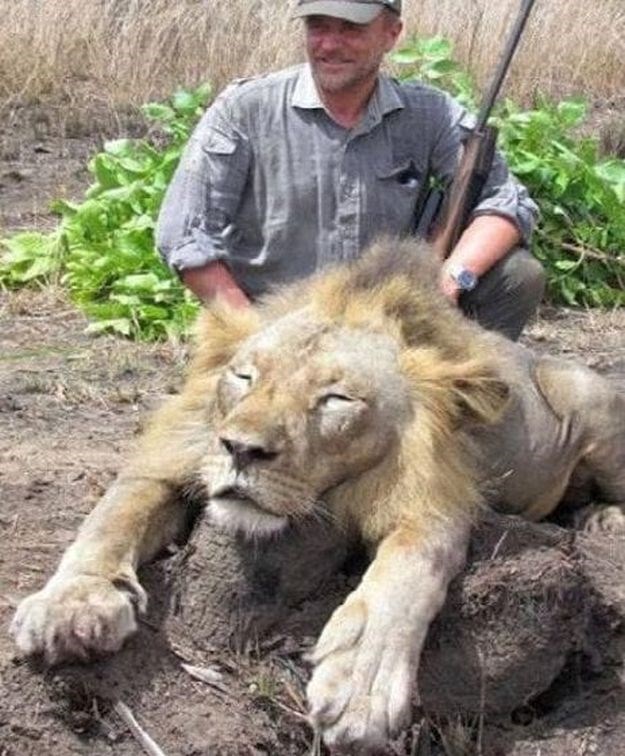 "To je karma": Lovac koji je razbjesnio svijet fotkama s ubijenim lavom poginuo na bizaran način
