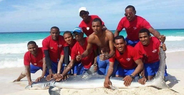 Još jedna žrtva ljudske gluposti: Zbog selfija ubili morskog psa!