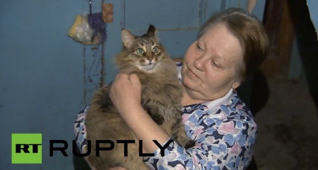 Neočekivani heroj: Mačka lutalica spasila bebu od smrzavanja