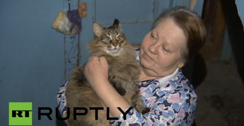 Neočekivani heroj: Mačka lutalica spasila bebu od smrzavanja