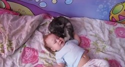 Majčinski instinkti: Pogledajte kako maca umiruje rasplakanu ljudsku bebu