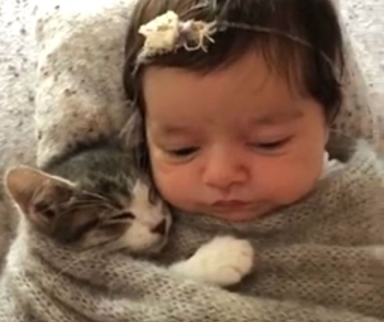 Snimak mace i bebe podijelio javnost pa je fotografkinja morala svašta objasniti