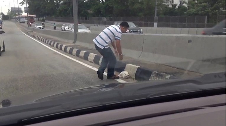 Muškarac se zaustavio na autocesti i spasio mačku koja je drhtala od straha
