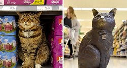 Kupci prikupili tisuće funti kako bi poznatom mačku iz supermarketa izradili spomenik