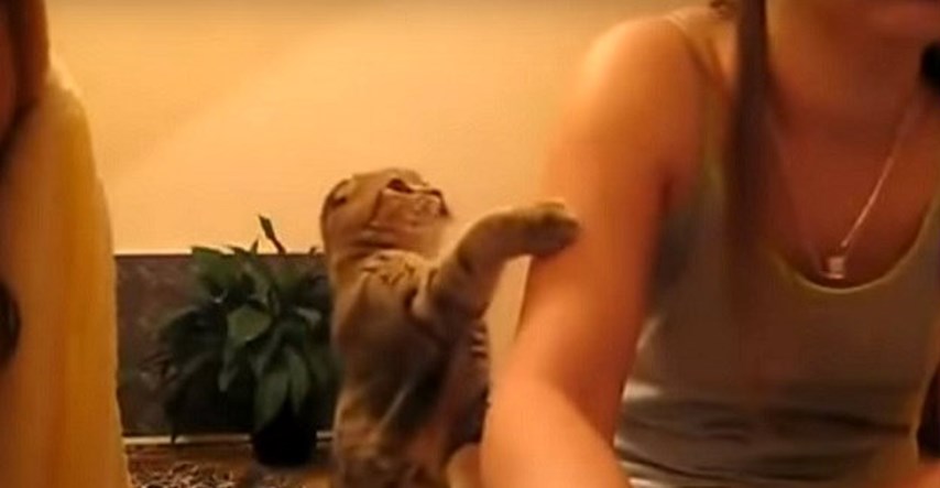 Top 5 videa: Mokre mace i zbrčkane face