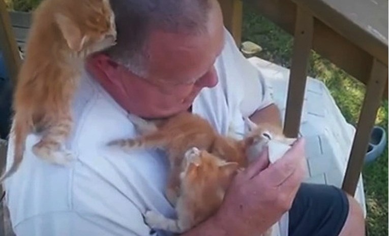 VIDEO On živi san svih ljubitelja mačaka: U hranjenu mačića uživa više od njih samih