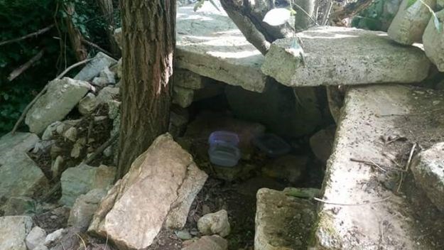 FOTO Bajka iz Istre: Vještica poslala dječaka u šumu da ih se riješi, ali on je učinio nešto bolje
